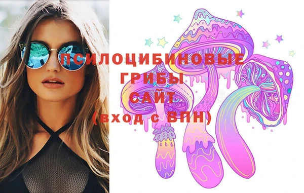 гидра Беломорск