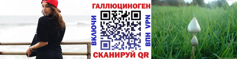 Галлюциногенные грибы GOLDEN TEACHER  Купить закладки  Реутов 
